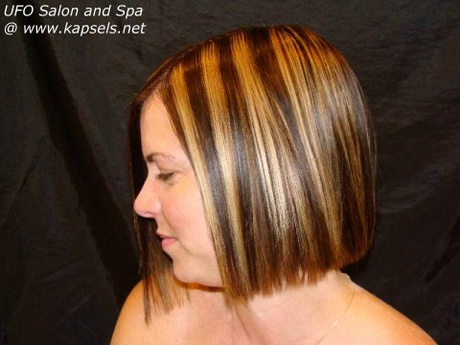 bruin-kort-haar-60-15 Smeđa kratka kosa