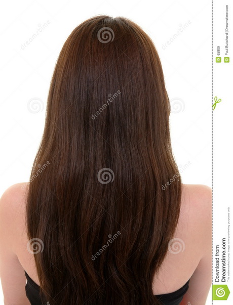 bruin-lang-haar-02-14 Smeđa duga kosa