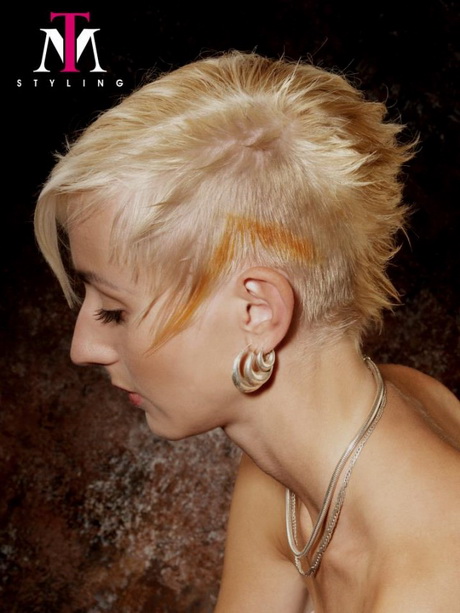 punk-kapsels-vrouwen-70-11 Punk frizure za žene