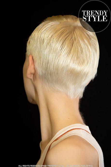 kapsels-kort-blond-2023-26_7 Kratke plave frizure 2023