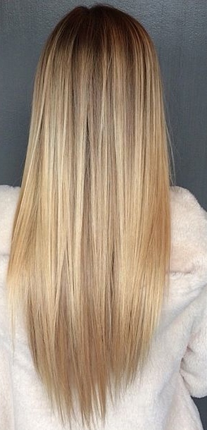 blond-haar-met-bruine-meches-16_13 Plava kosa s smeđim krznom
