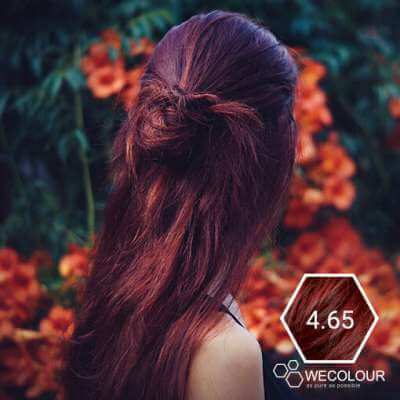 bruin-rood-haarkleur-20_6 Kesten-crvena boja kose
