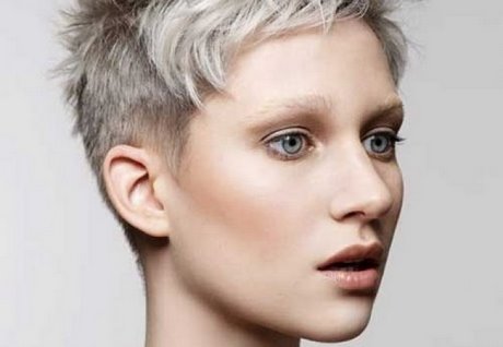 korte-kapsels-zilvergrijs-27_11 Kratke frizure srebrno-sive boje