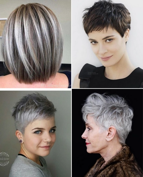 grijs-kort-kapsel-dames-001 Ženska kratka frizura sa sijedom kosom