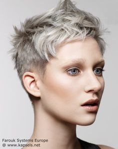 korte-grijze-dameskapsels-52_9 Kratke sive ženske frizure