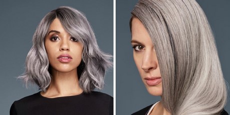 zilver-grijs-haar-46_15 Srebrna siva kosa